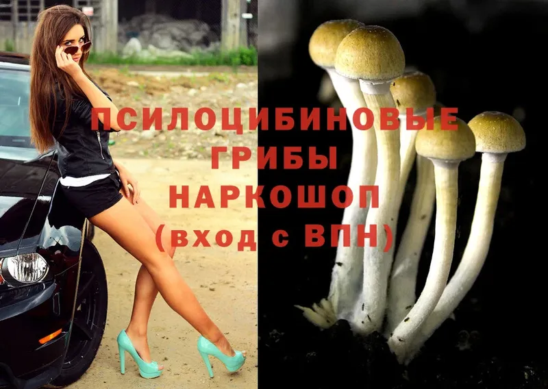 Псилоцибиновые грибы Magic Shrooms  купить наркоту  Кремёнки 